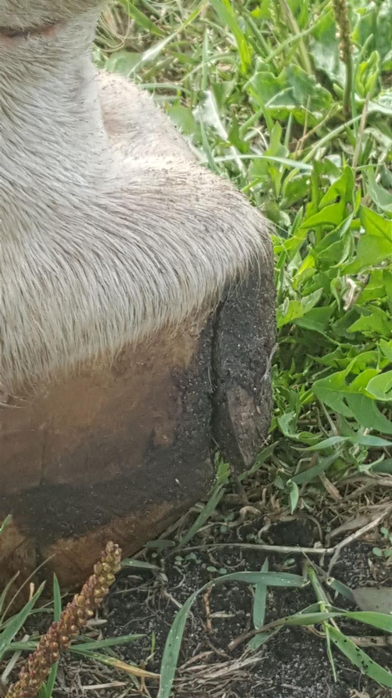 20180717_095400